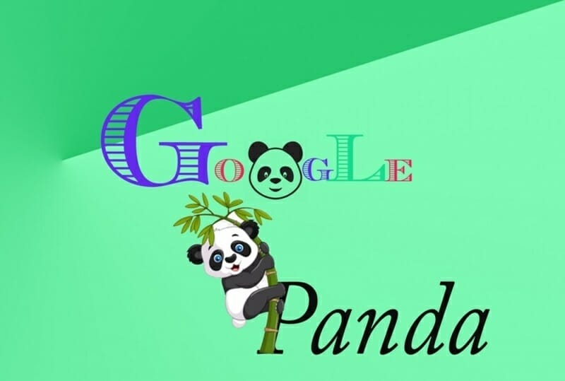 google panda